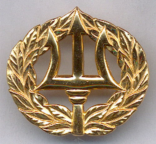 INSIGNIA USN COMMAND ASHORE (PROJECT MANAGER)