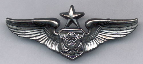 INSIGNIA USA A.F. SENIOR NON RATED OFFICER