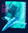 CAMISETA F-16 FIGHTING FALCON